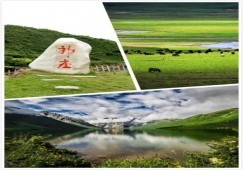 廣州到阿壩物流專(zhuān)線(xiàn)，專(zhuān)業(yè)運(yùn)輸廣州至阿壩貨運(yùn)公司